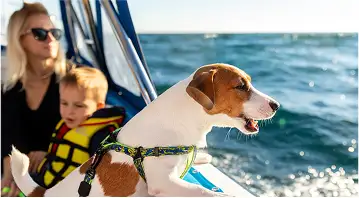 people on boat with dog